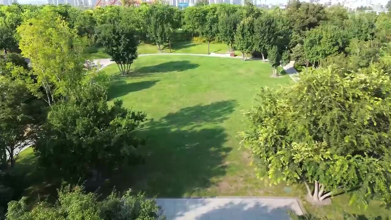 婚礼所在的一片草坪实景:草地被树木环绕,外围有步道。